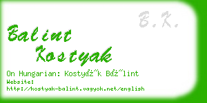 balint kostyak business card